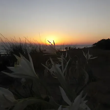 Gasthof Maltas Perivoli (Corfu)