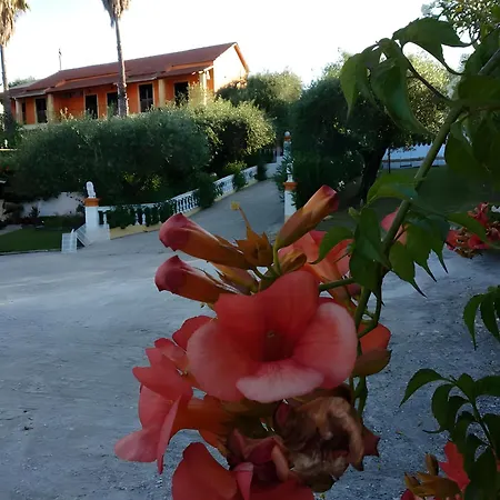 Maltas بيت ضيافة Perivoli (Corfu)